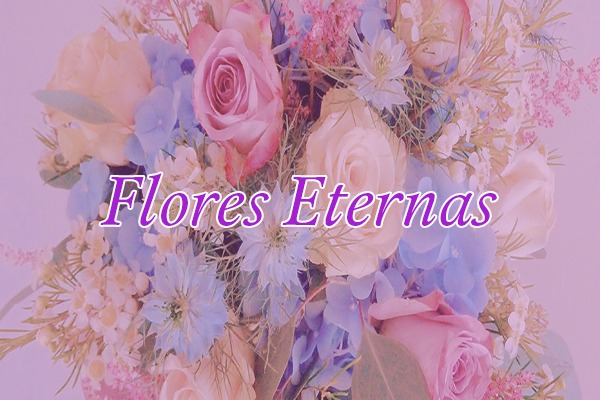 Flores-eternas